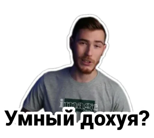 ⁉️ Стикер «Чайку под чаёк» для Telegram