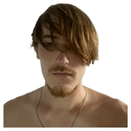 🥵 Стикер «Чайку под чаёк» для Telegram