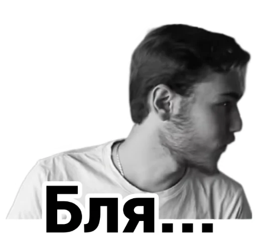 😐 Стикер «Чайку под чаёк» для Telegram