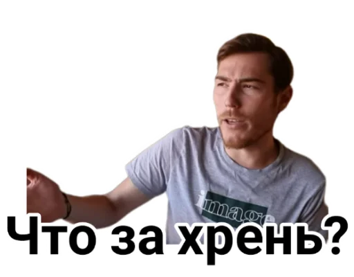 🤨 Стикер «Чайку под чаёк» для Telegram