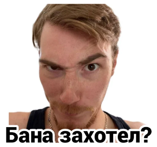 😡 Стикер «Чайку под чаёк» для Telegram