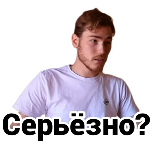 🤨 Стикер «Чайку под чаёк» для Telegram