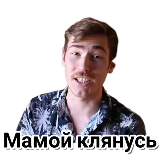 💯 Стикер «Чайку под чаёк» для Telegram