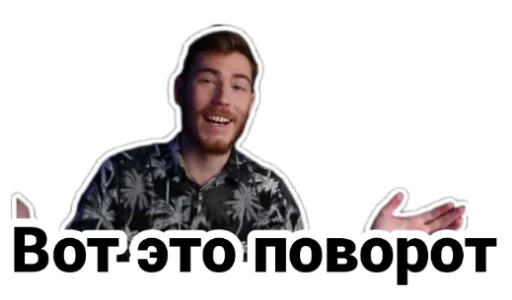 😯 Стикер «Чайку под чаёк» для Telegram