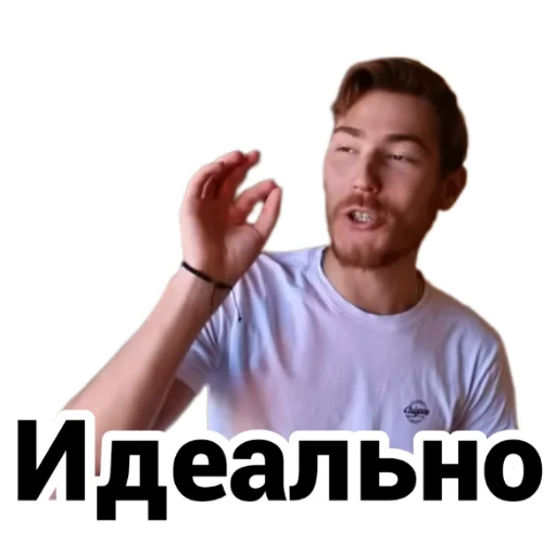 👌 Стикер «Чайку под чаёк» для Telegram