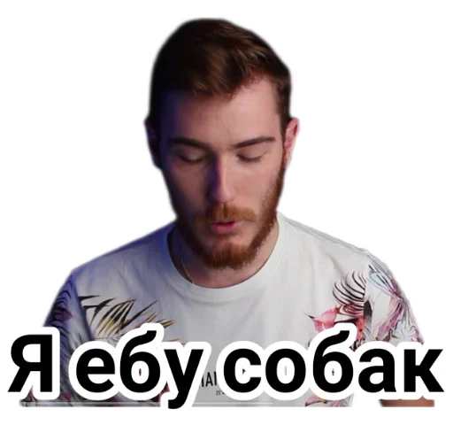 💦 Стикер «Чайку под чаёк» для Telegram
