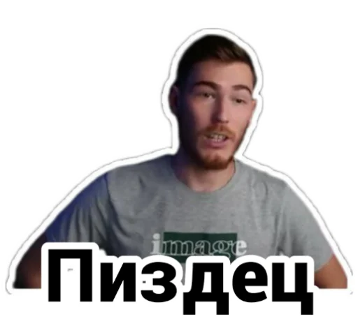 🫣 Стикер «Чайку под чаёк» для Telegram