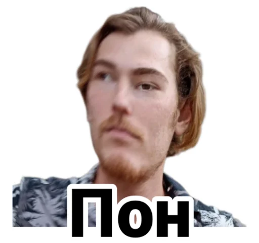 😐 Стикер «Чайку под чаёк» для Telegram