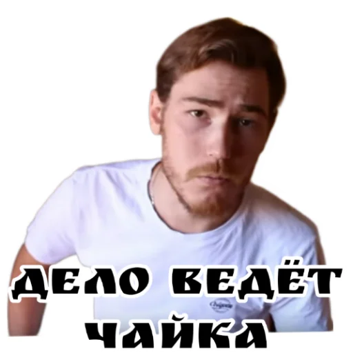 🔍 Стикер «Чайку под чаёк» для Telegram