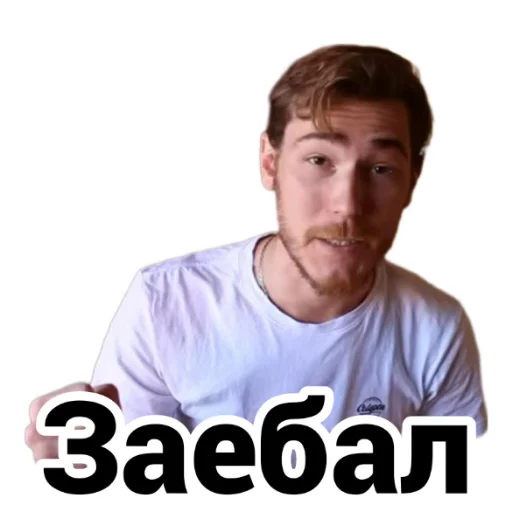 😑 Стикер «Чайку под чаёк» для Telegram