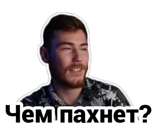 👃 Стикер «Чайку под чаёк» для Telegram