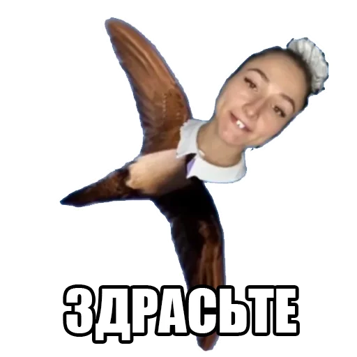 👋 Стикер «TTpack» для Telegram