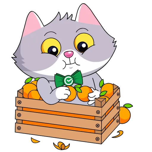 🍊 Стикер «Пати у СберКота» для Telegram