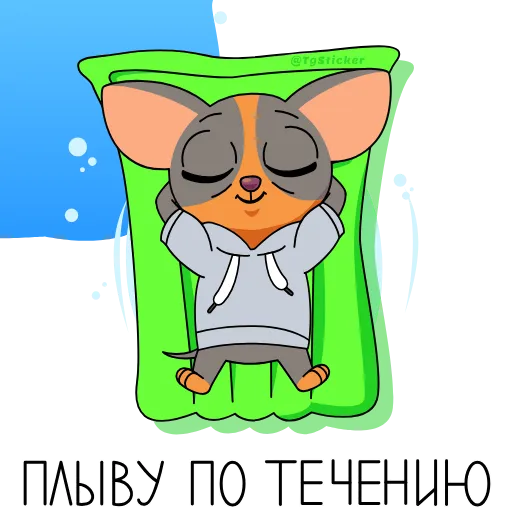 😎 Стикер «Пати у СберКота» для Telegram