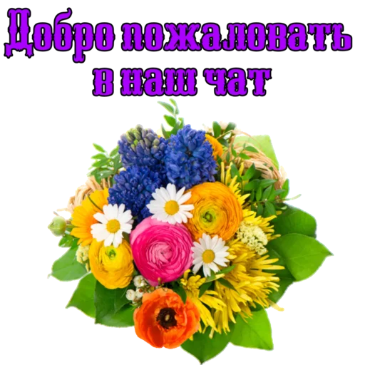 👋 Стикер «Dobsborka» для Telegram