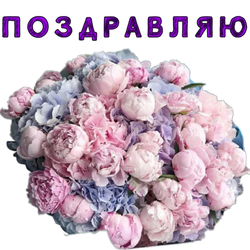 👍 Стикер «Dobsborka» для Telegram