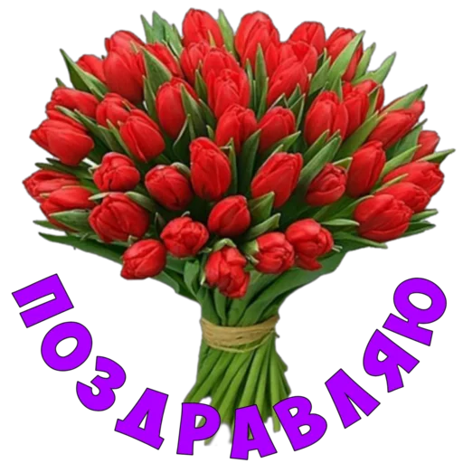 🌹 Стикер «Dobsborka» для Telegram