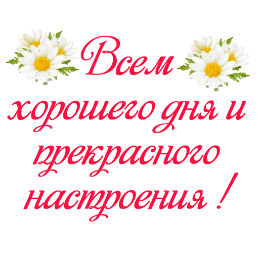 💋 Стикер «Dobsborka» для Telegram