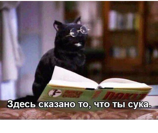 📖 Стикер «( ͡° ͜ʖ ͡°) [2]» для Telegram