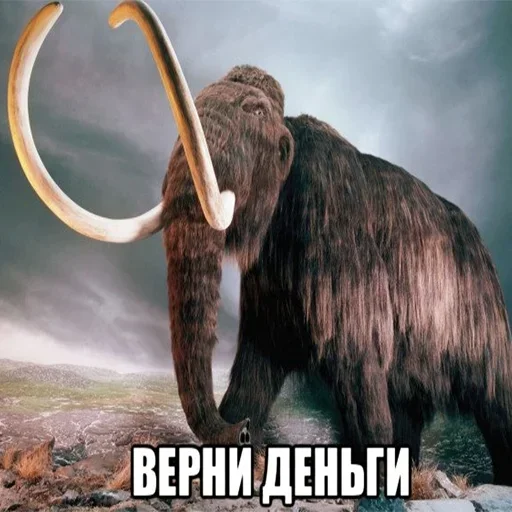 🦣 Стикер «Мамонты» для Telegram