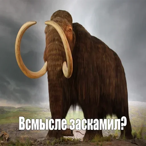 🦣 Стикер «Мамонты» для Telegram