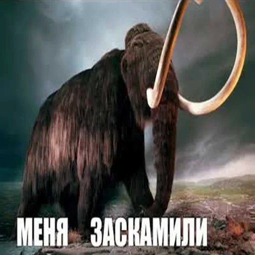 🦣 Стикер «Мамонты» для Telegram