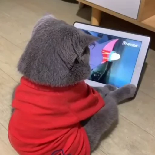 🤞 Стикер «Scchizoid» для Telegram