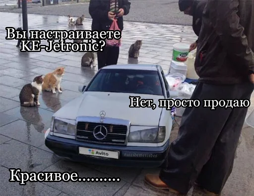 💶 Стикер «suicidemercedes» для Telegram