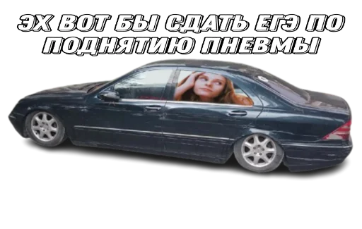 🤓 Стикер «suicidemercedes» для Telegram