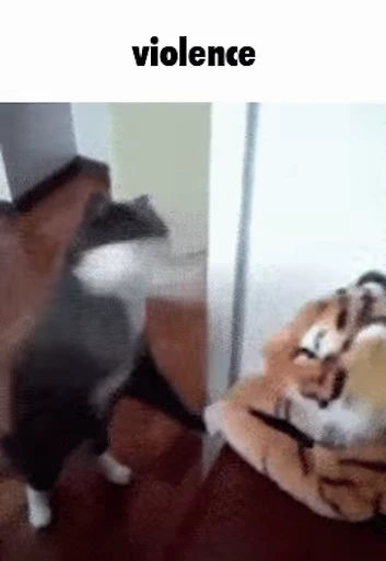 😾 Стикер «Schizo cats» для Telegram