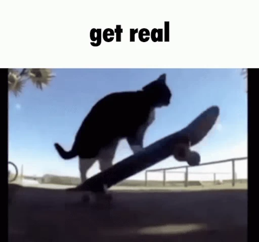 😹 Стикер «Schizo cats» для Telegram