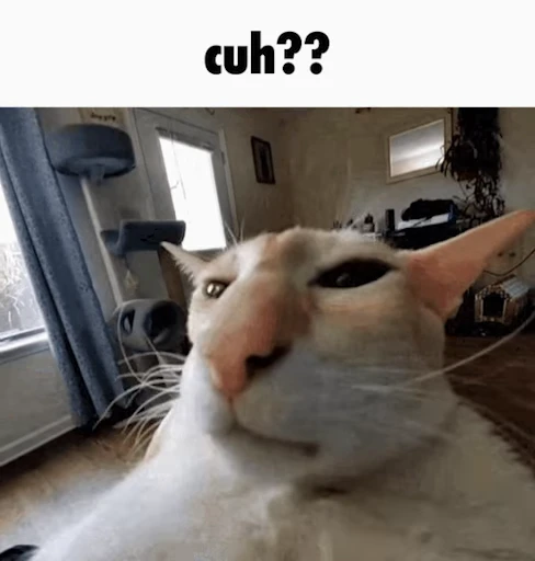 😾 Стикер «Schizo cats» для Telegram
