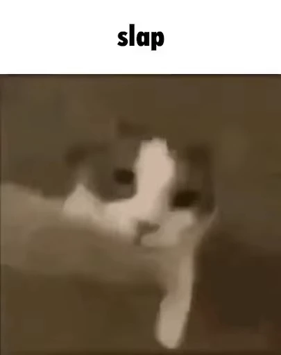 😾 Стикер «Schizo cats» для Telegram
