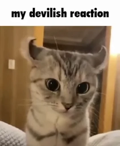 😼 Стикер «Schizo cats» для Telegram