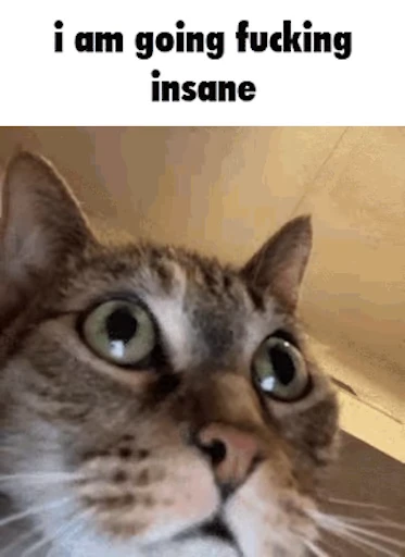 🙀 Стикер «Schizo cats» для Telegram