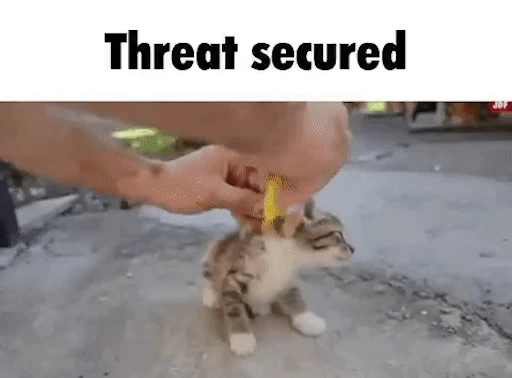 😿 Стикер «Schizo cats» для Telegram