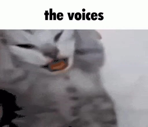 🙀 Стикер «Schizo cats» для Telegram