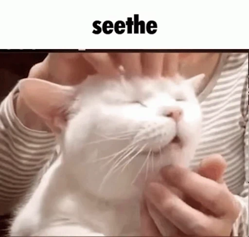 😸 Стикер «Schizo cats» для Telegram