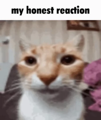 😾 Стикер «Schizo cats» для Telegram