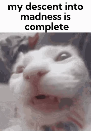 😹 Стикер «Schizo cats» для Telegram