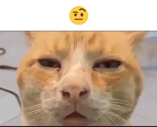 😾 Стикер «Schizo cats» для Telegram