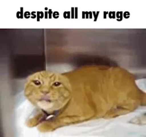 😾 Стикер «Schizo cats» для Telegram