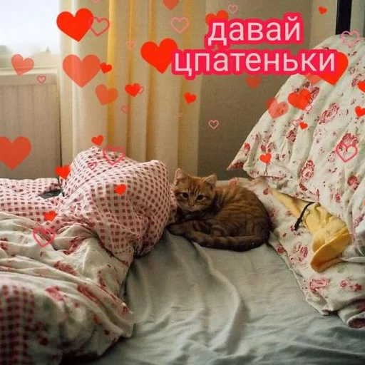 💙 Стикер «закрытая школа» для Telegram