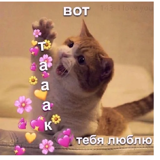❤️ Стикер «закрытая школа» для Telegram
