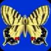 Стикер 10 ️ Old web icons
