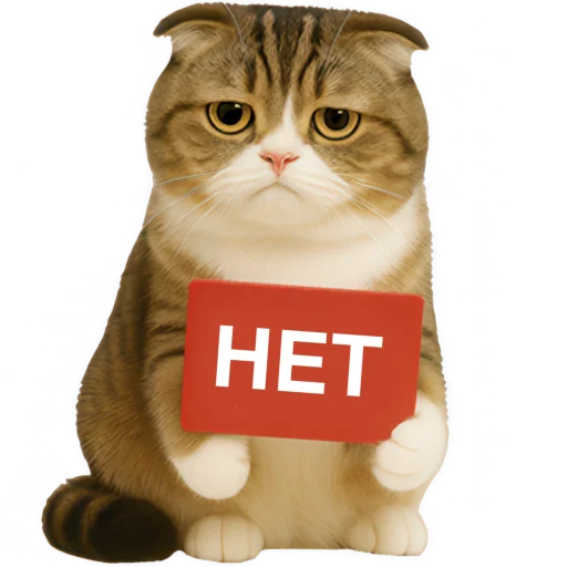 🙅‍♂ Стикер «Шотландский кот» для Telegram