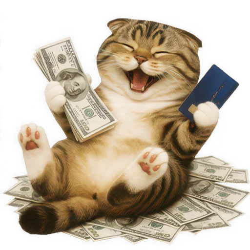 💸 Стикер «Шотландский кот» для Telegram