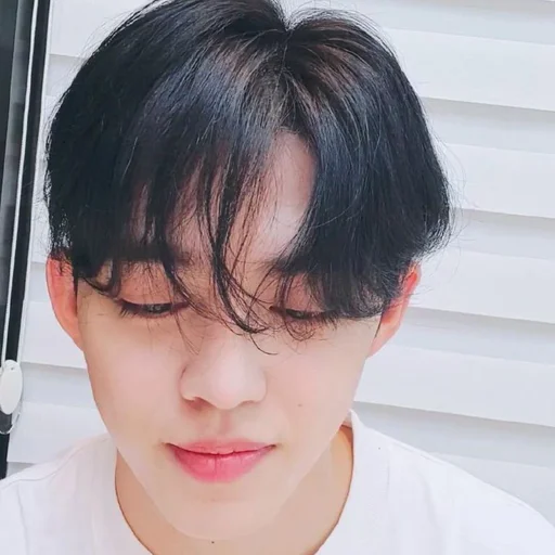 🕳 Стикер «s coups seventeen» для Telegram