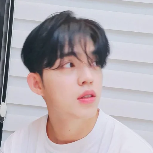 🕳 Стикер «s coups seventeen» для Telegram
