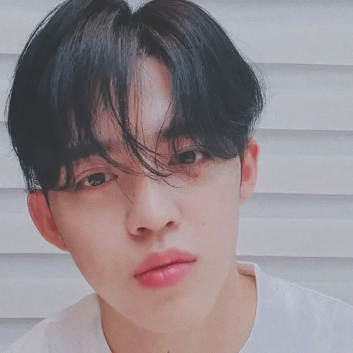 🕳 Стикер «s coups seventeen» для Telegram